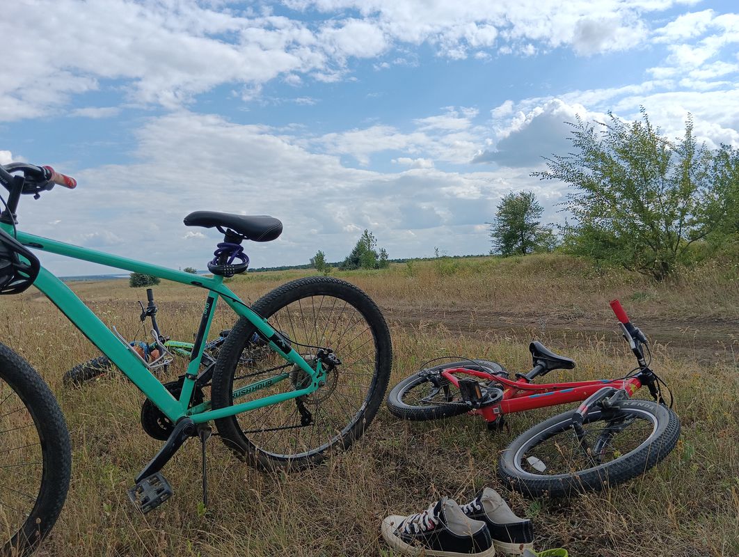 От Неизвестная дорога до Неизвестная дорога, Сосновка