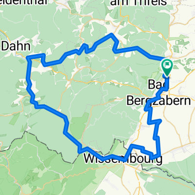 Steve  Pleisweiler-Oberhofen