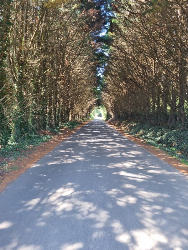 Tag 18: Bretagne 8