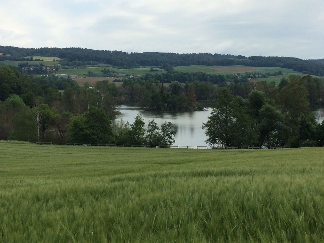 Frauenfeld-Stein-Winti