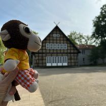 Photo 8 de l’itinéraire Bikemap « Rundweg Potsdam »