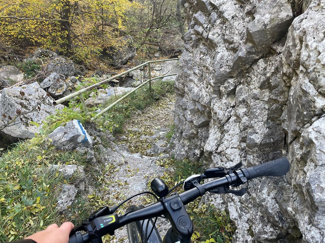 Der Hengst - Loop mit Marias Landsee, Hengsthütte und Puchberg