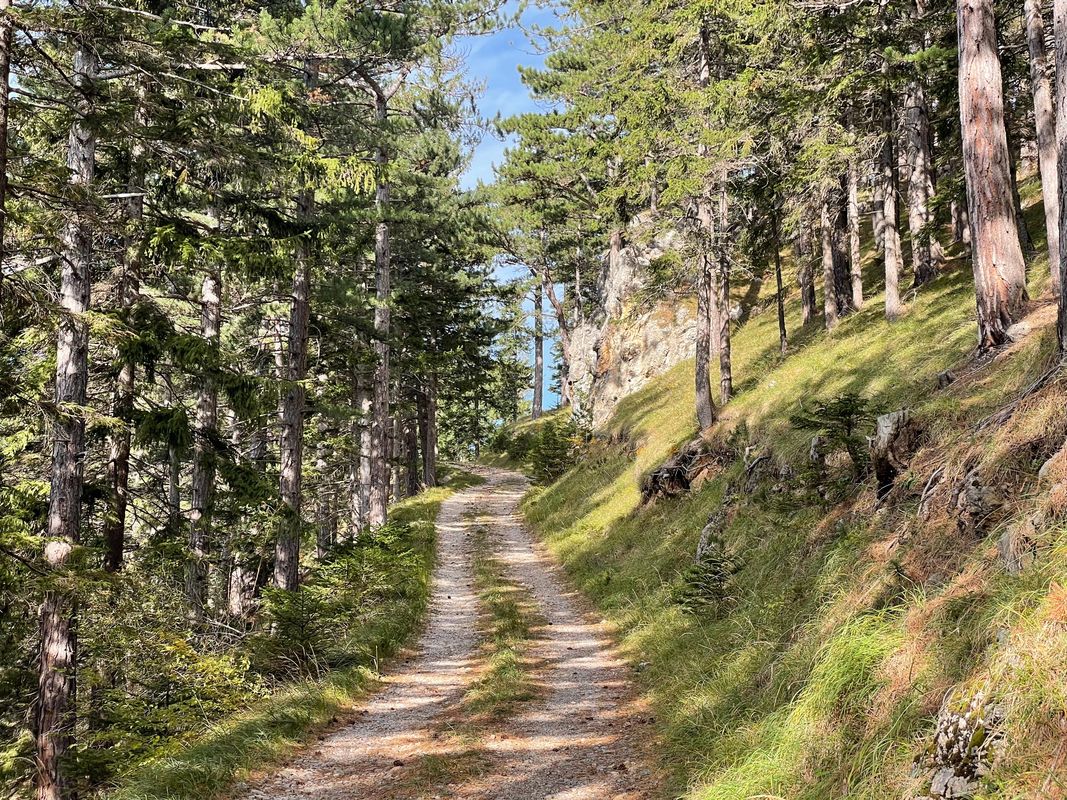 Der Hengst - Loop mit Marias Landsee, Hengsthütte und Puchberg