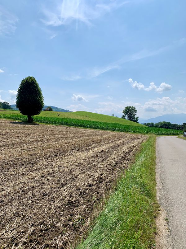 Aeschi-Oberburg-66km
