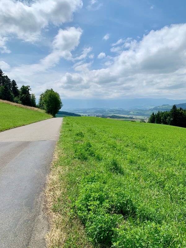 Oberburg-Aeschi-65km-755Hm