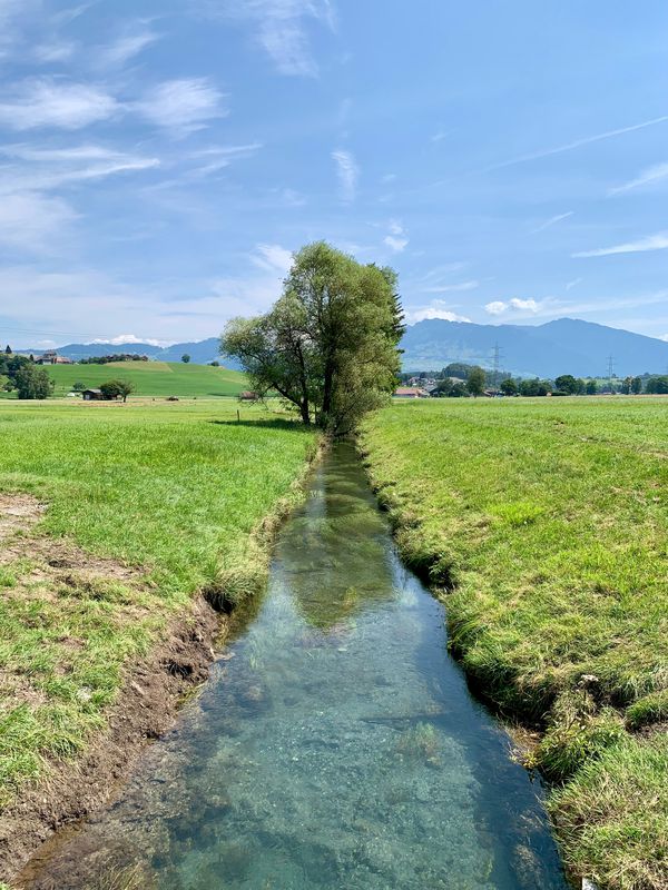 Aeschi-Murten-84km-775Hm
