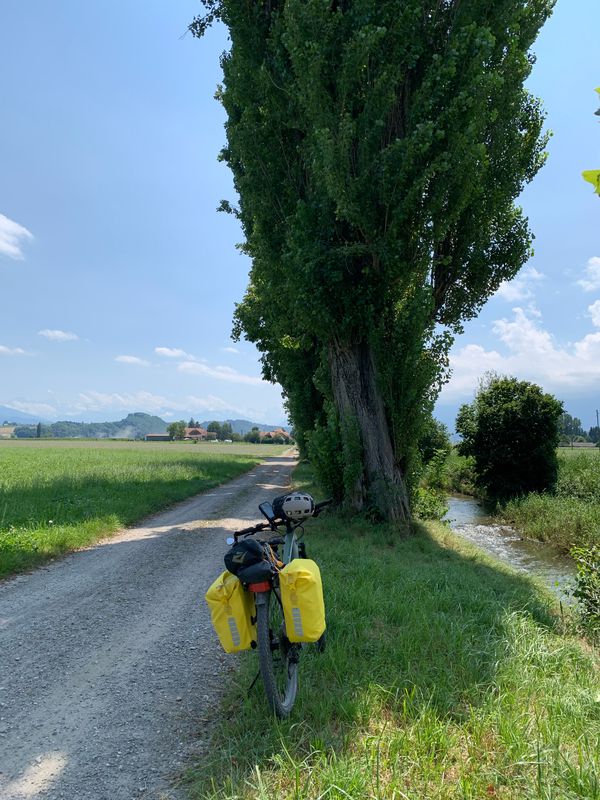 Aeschi-Murten-84km-775Hm