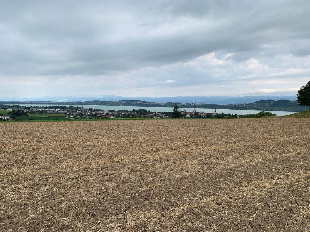 Murten-Aeschi-85km-1415Hm