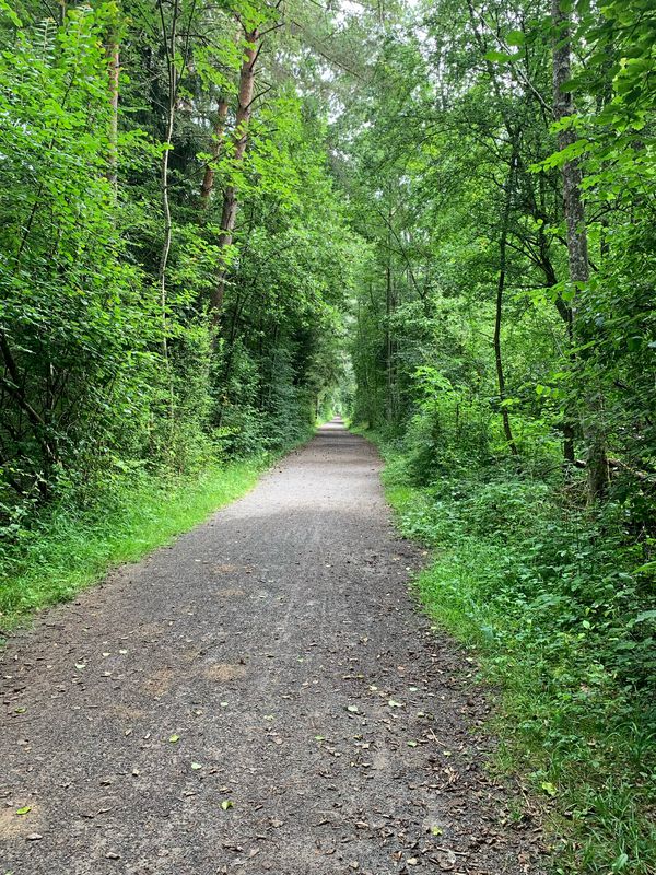 Murten-Aeschi-85km-1415Hm
