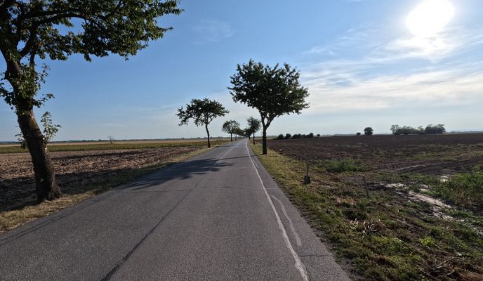 Foto 1 der Bikemap-Route "Groß-Enzersdorf-Deutsch Wagram-Straßhof- Leopoldsdorf im Marchfeld Runde. 🚴‍♂️🚴"