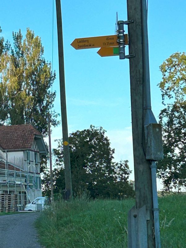 Rapperswil-Jona nach Rhein (Zweidlen). Neu: "Geheimer" Gleisweg Eglisau - Zweidlen (eine Verlängerung in den Schatten). Achtung: Beim Hochwasser: überflütet