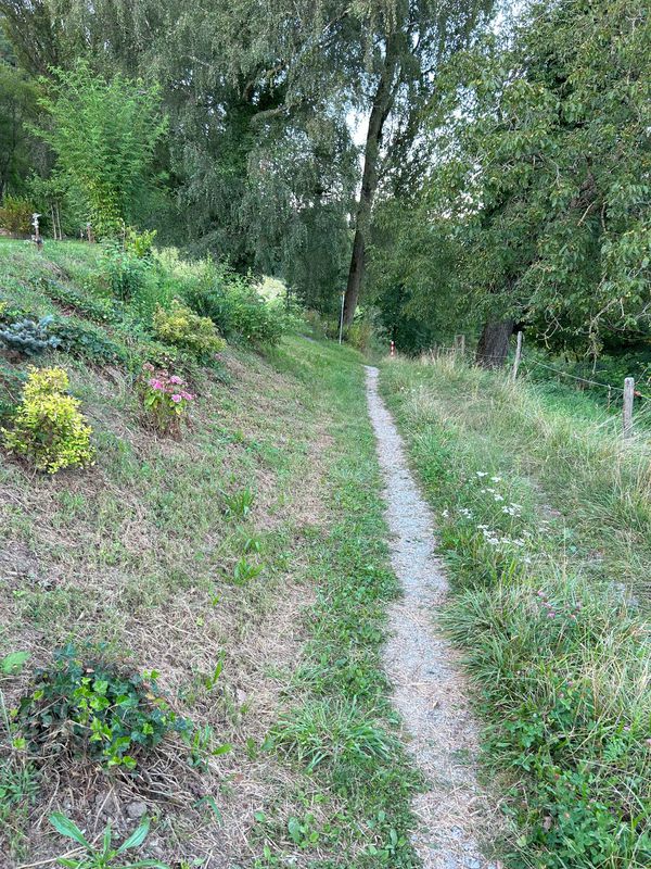 Rapperswil-Jona nach Rhein (Zweidlen). Neu: "Geheimer" Gleisweg Eglisau - Zweidlen (eine Verlängerung in den Schatten). Achtung: Beim Hochwasser: überflütet