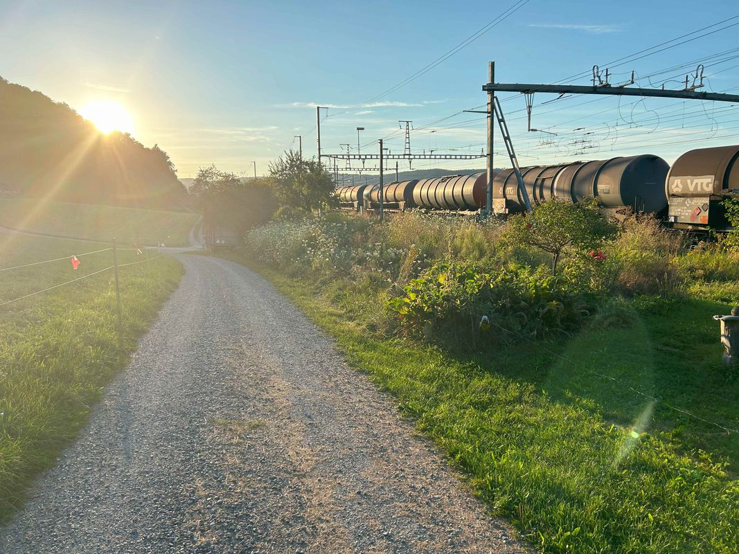 Rapperswil-Jona nach Rhein (Zweidlen). Neu: "Geheimer" Gleisweg Eglisau - Zweidlen (eine Verlängerung in den Schatten). Achtung: Beim Hochwasser: überflütet