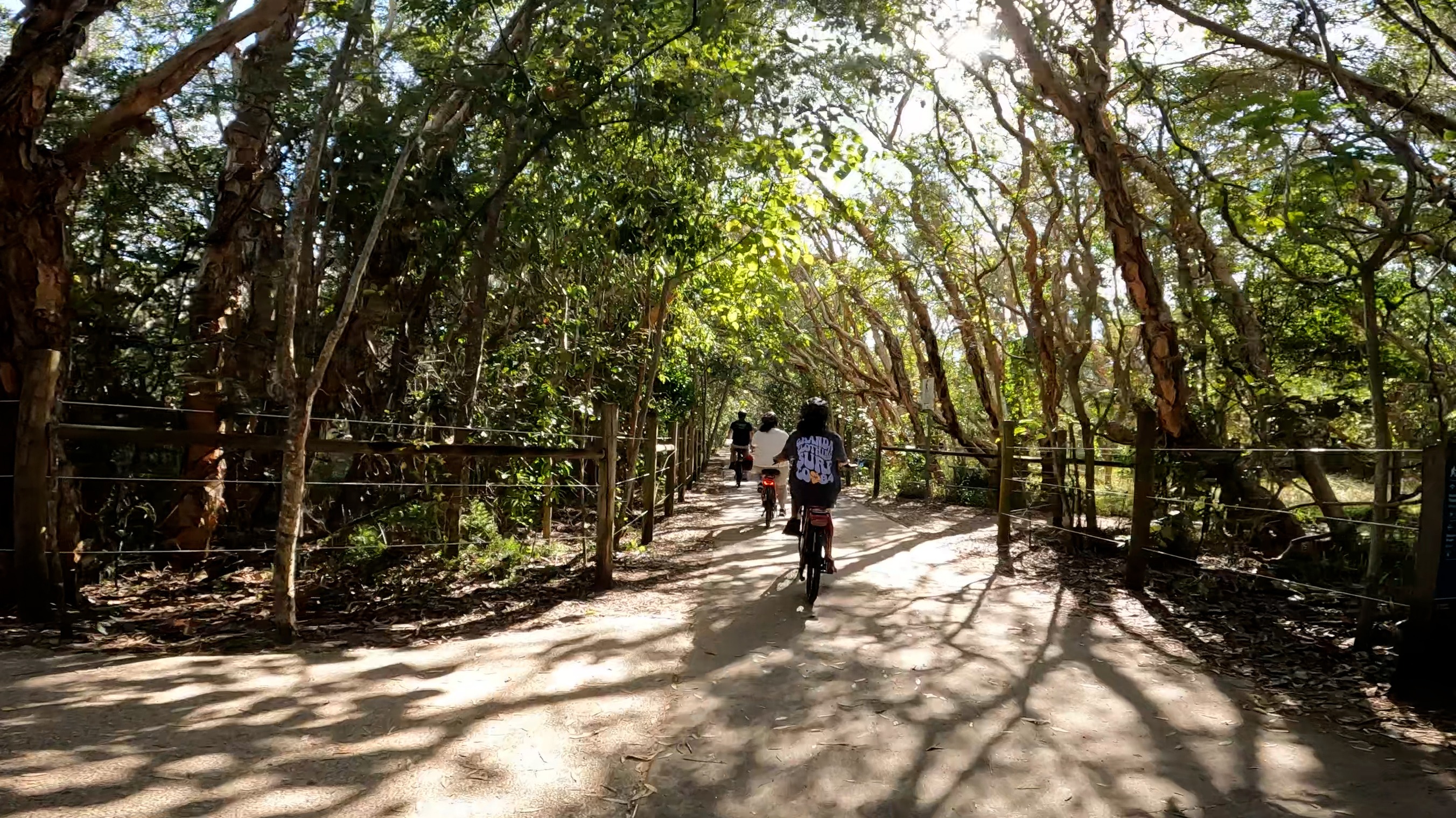Easy Peasy Novotel North e-Bike Tour