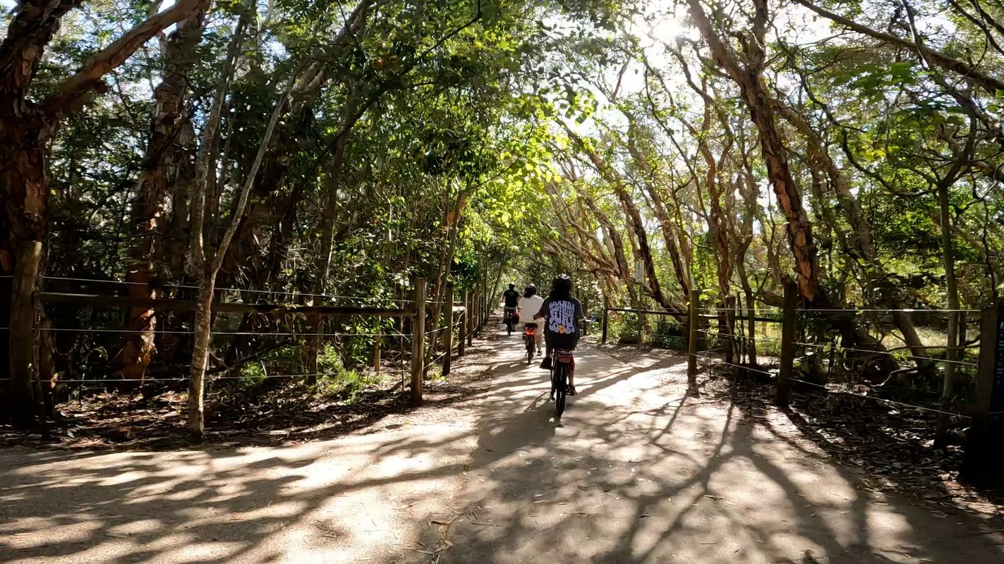 Easy Peasy Novotel North e-Bike Tour