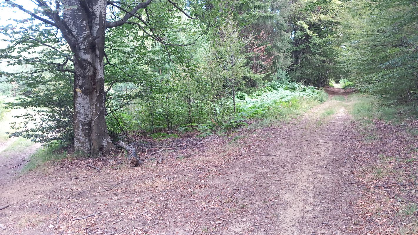 Осогово - Иглика