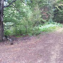 Осогово - Иглика