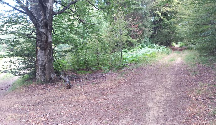 Photo 1 of the Bikemap route "Осогово - Иглика"