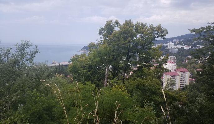 Photo 1 of the Bikemap route "Сочи, Адлерский Район, Село Хлебороб—Адлер,ТРЦ Сити Плаза—Хоста"