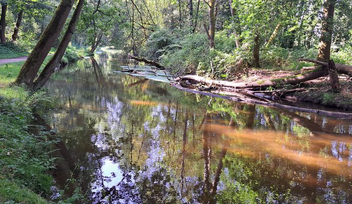 Photo 1 of the Bikemap route "Brüggen-Brauerei Bolten-Brüggen" Photo 1 of the Bikemap route "Brüggen-Brauerei Bolten-Brüggen"