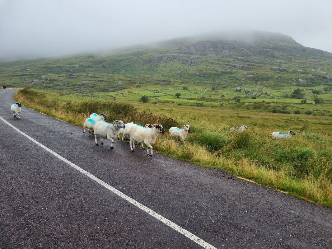 Tag 28: Westirland