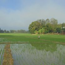 Photo 7 of the Bikemap route "Cycling enjoying Mae Wang and San Pa Tong area"
