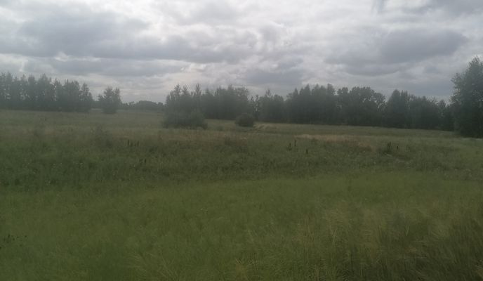 Foto 2 der Bikemap-Route "Расслабленный маршрут"