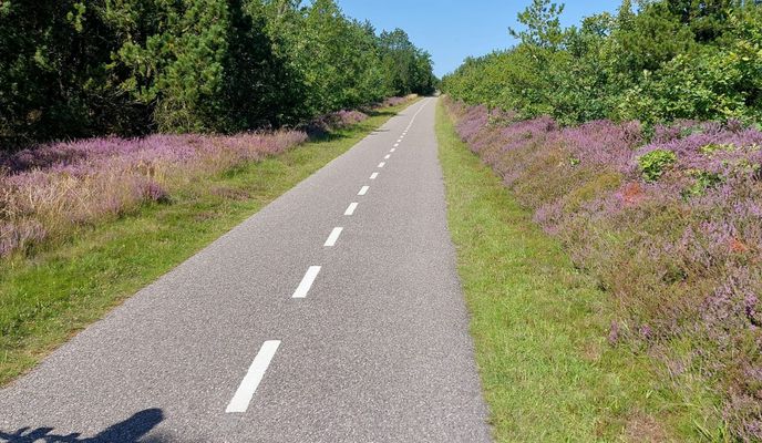 Photo 2 of the Bikemap route "Lakolk Butikscenter, Rømø nach Lakolk Butikscenter, Rømø"