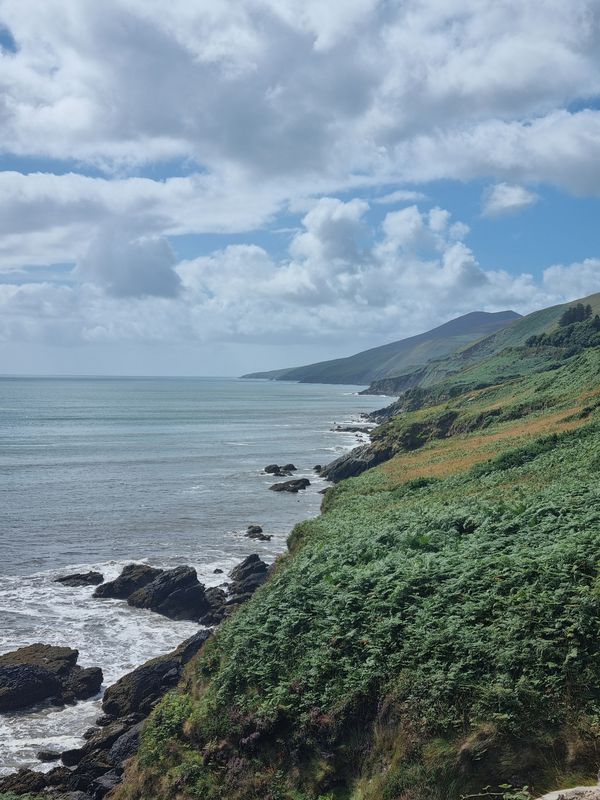 Tag 30: Dingle Peninsula