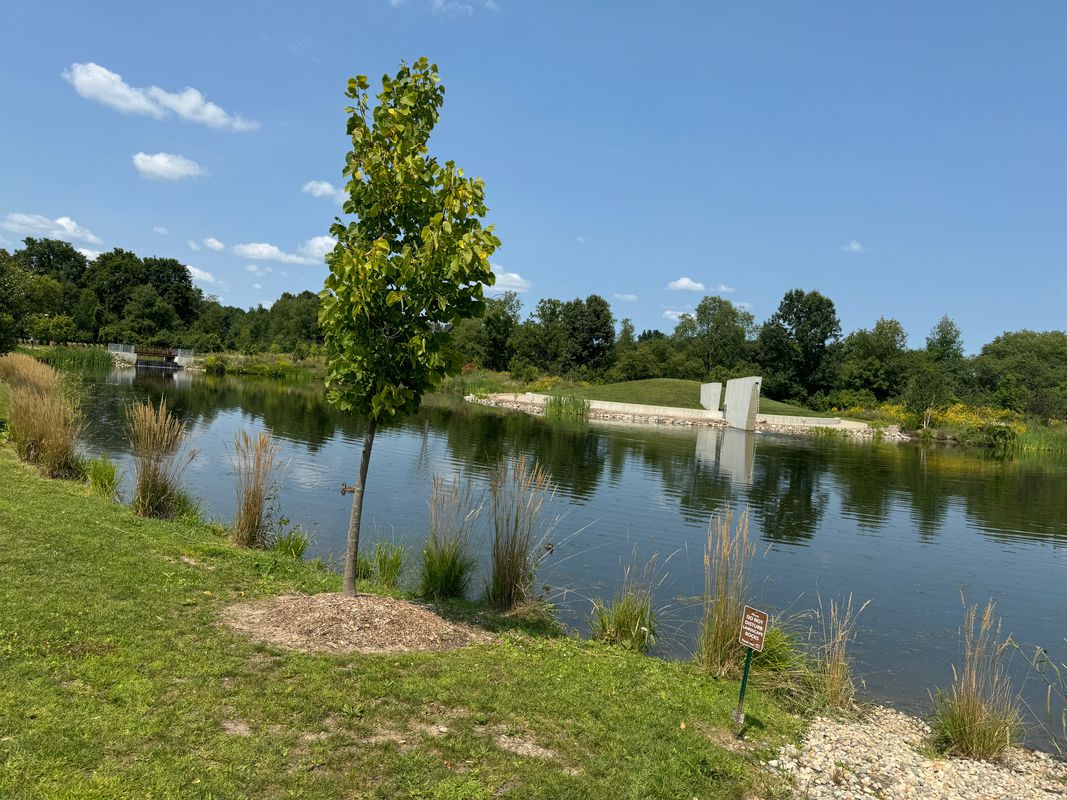 Innovation Hills Park, Rochester Hills - Clinton River Boardwalk Loop
