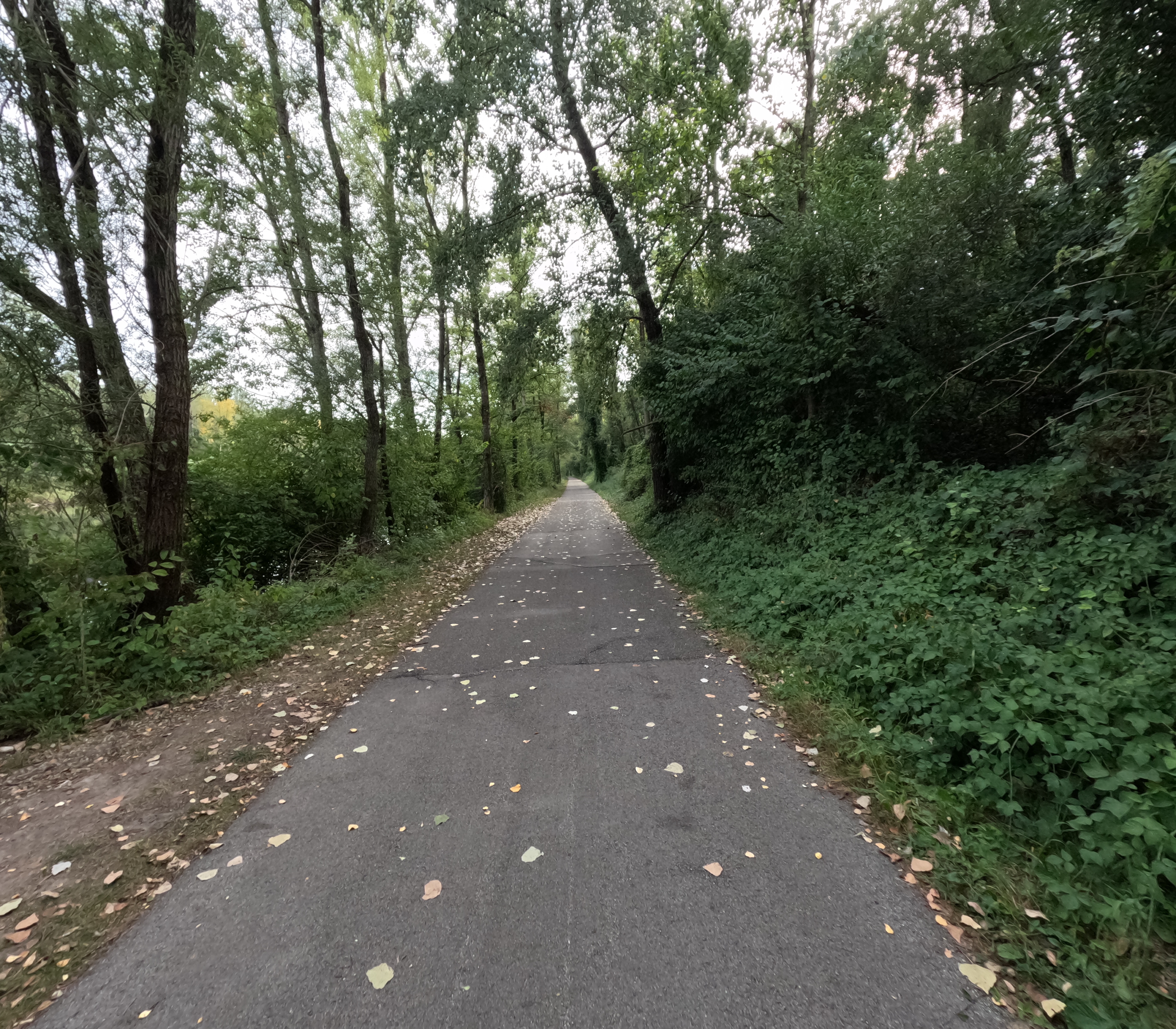 Schleißheim-Pucking-Ansfelden-Schloß Traun 🚴‍♂️🚴