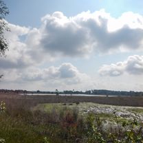 Foto 7 der Bikemap-Route "Ochtendrit Rondje Strabrechtse heide" Foto 7 der Bikemap-Route "Ochtendrit Rondje Strabrechtse heide"