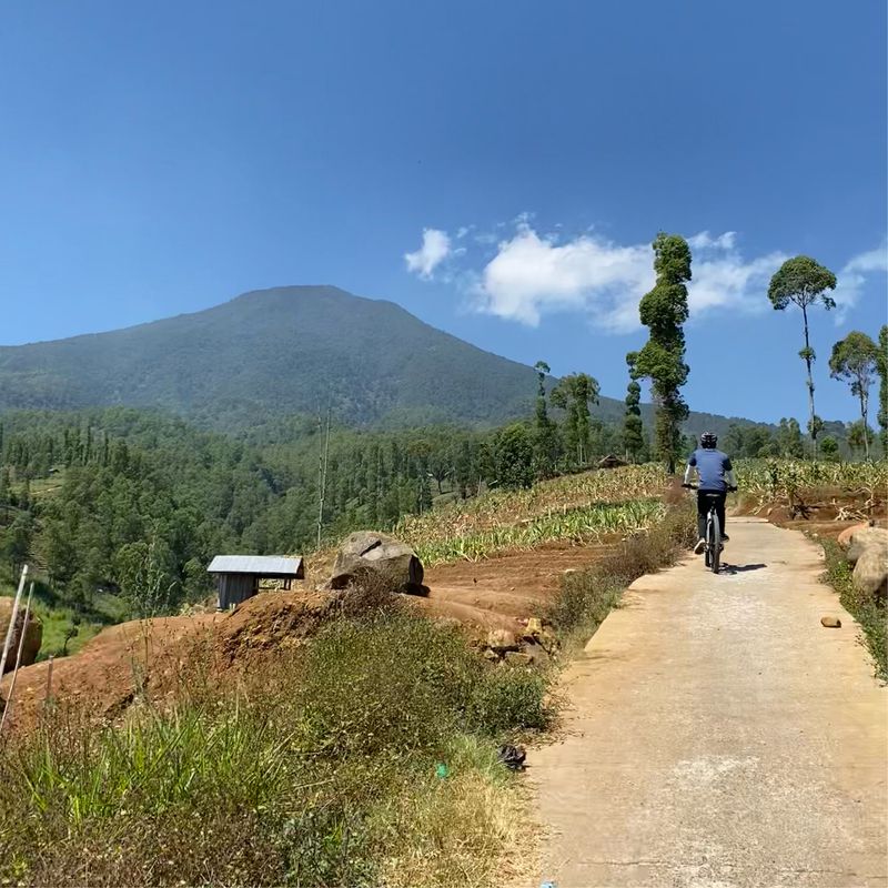 Mekarjaya, Bayongbong – Terasering Barugantung