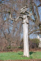 Highlight 2 along the Bikemap route "2.Tg Robertville-Reifferscheid"