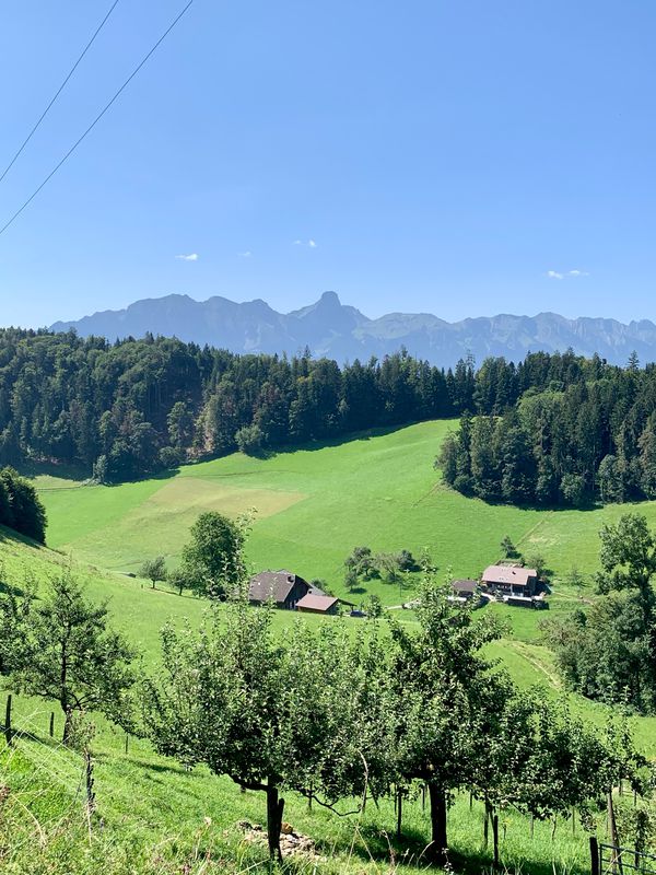 Bönigen-75km-1790Hm