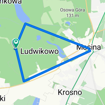 Mosina, Ludwikowo, Goreckie