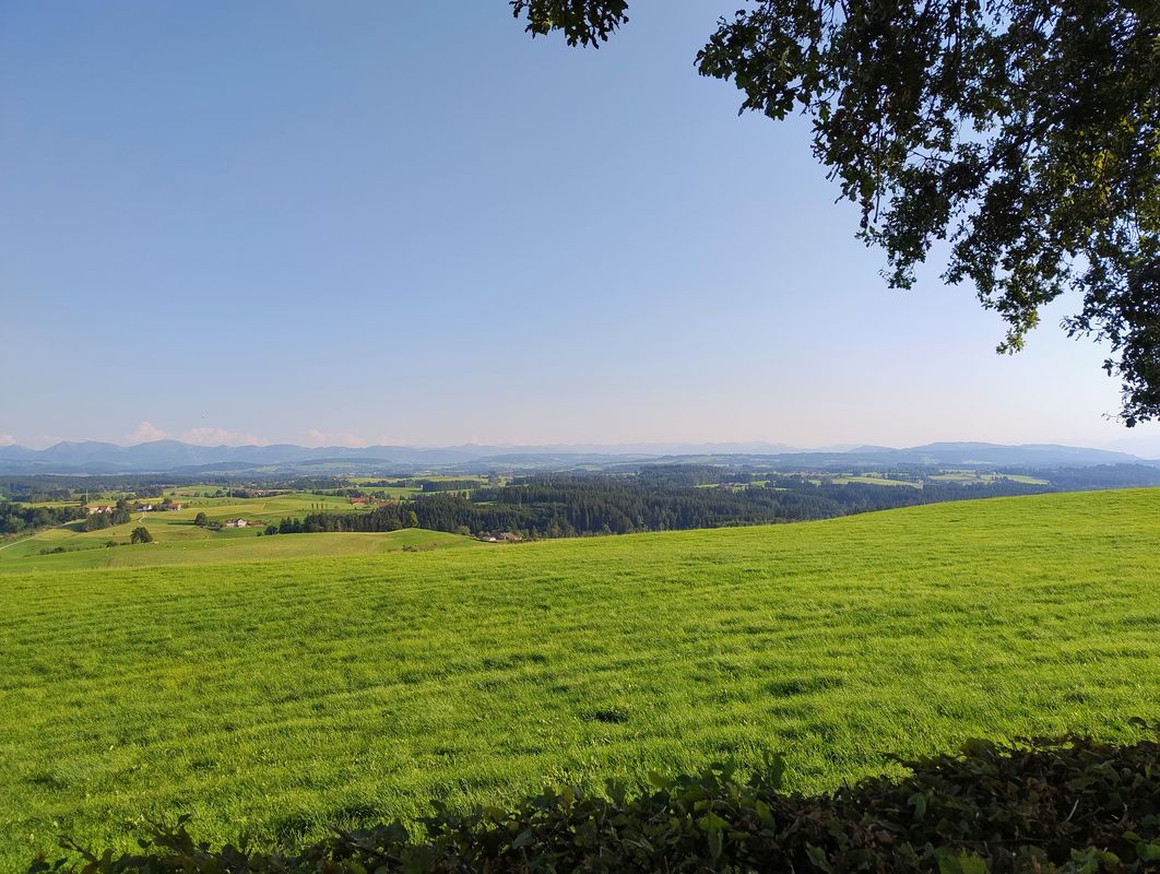 RadlerTreff 23km Siggen - Ratzenried - Zurwies