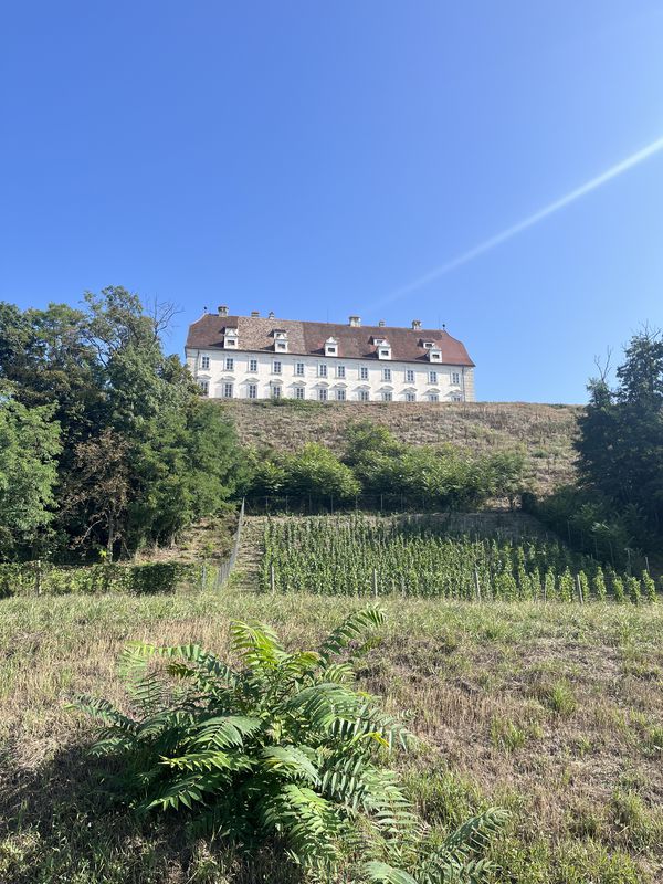 Stage 2: Flo-rida’s Dorf to Schönberg