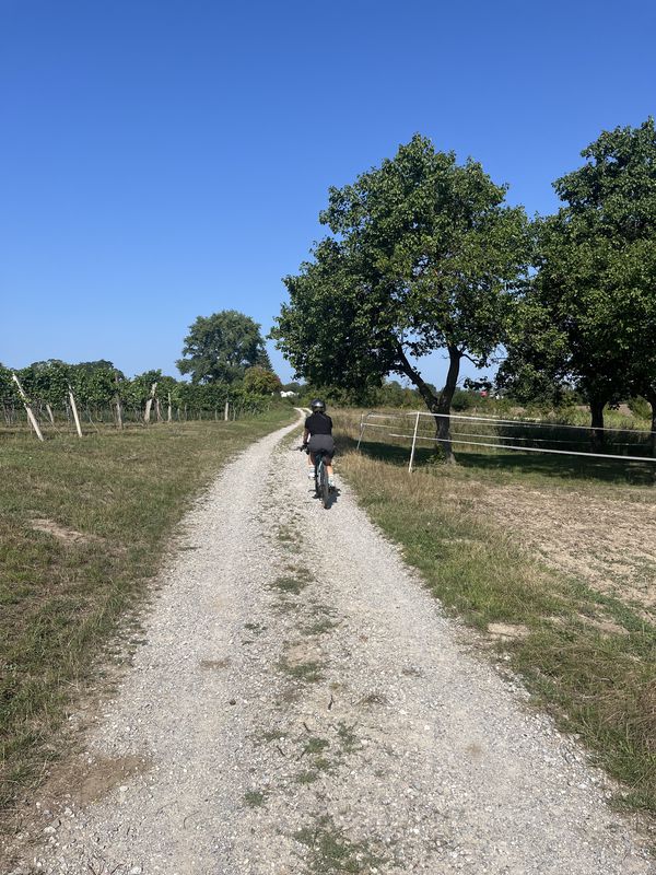 Stage 2: Flo-rida’s Dorf to Schönberg