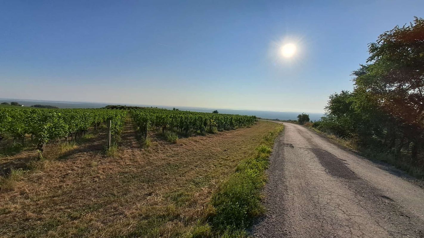 Draßburg Sopron Illmitz Mörbisch Draßburg
