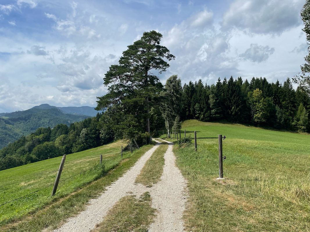 Kreuzbergstecke vom Bahnhof Payerbach-Reichenau (Ohne Singletrails)