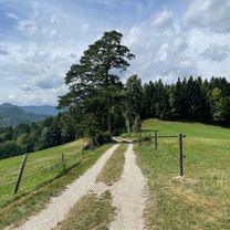 Kreuzbergstecke vom Bahnhof Payerbach-Reichenau (Ohne Singletrails)