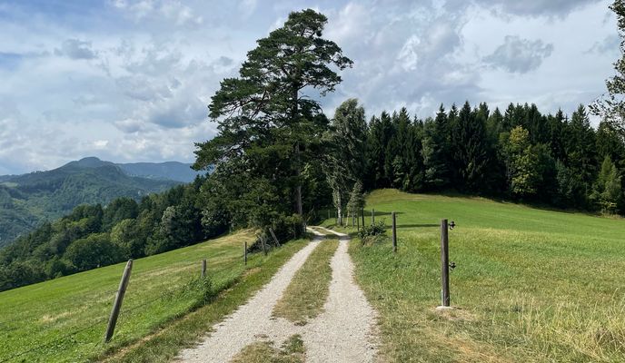 Foto 1 de la ruta de Bikemap "Kreuzbergstecke vom Bahnhof Payerbach-Reichenau (Ohne Singletrails)"