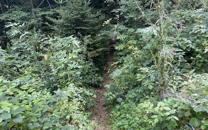 Destacado 2 en la ruta de Bikemap "Kreuzbergstecke vom Bahnhof Payerbach-Reichenau (Ohne Singletrails)"