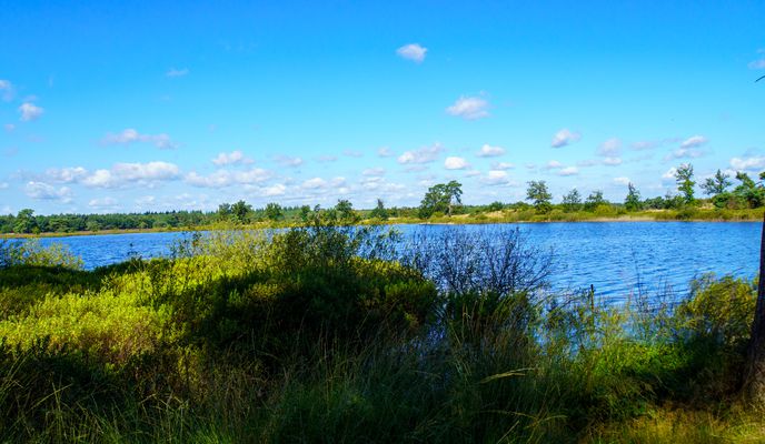 Foto 1 del percorso Bikemap "Door de Malpi &; Leenderbos" Foto 1 del percorso Bikemap "Door de Malpi &; Leenderbos"