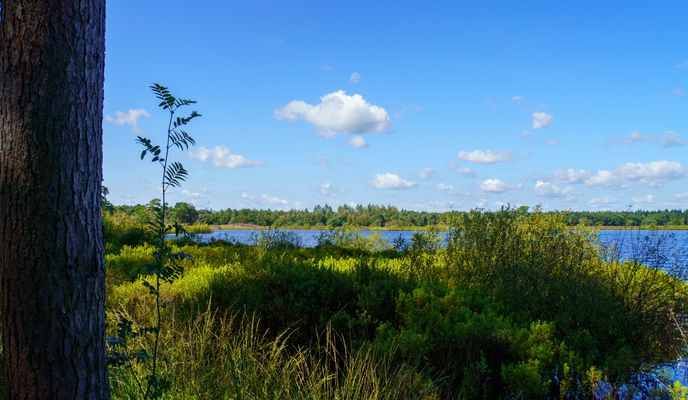 Foto 2 del percorso Bikemap "Door de Malpi &; Leenderbos" Foto 2 del percorso Bikemap "Door de Malpi &; Leenderbos"