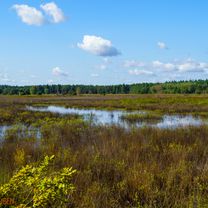 Foto 8 del percorso Bikemap "Door de Malpi &; Leenderbos" Foto 8 del percorso Bikemap "Door de Malpi &; Leenderbos"