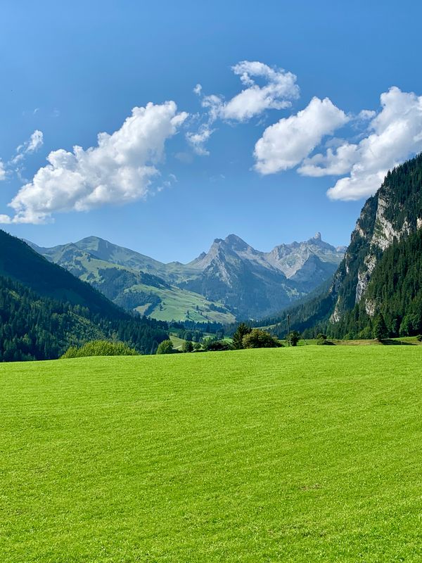 Gestelenpass-Aeschi-80km-1600Hm