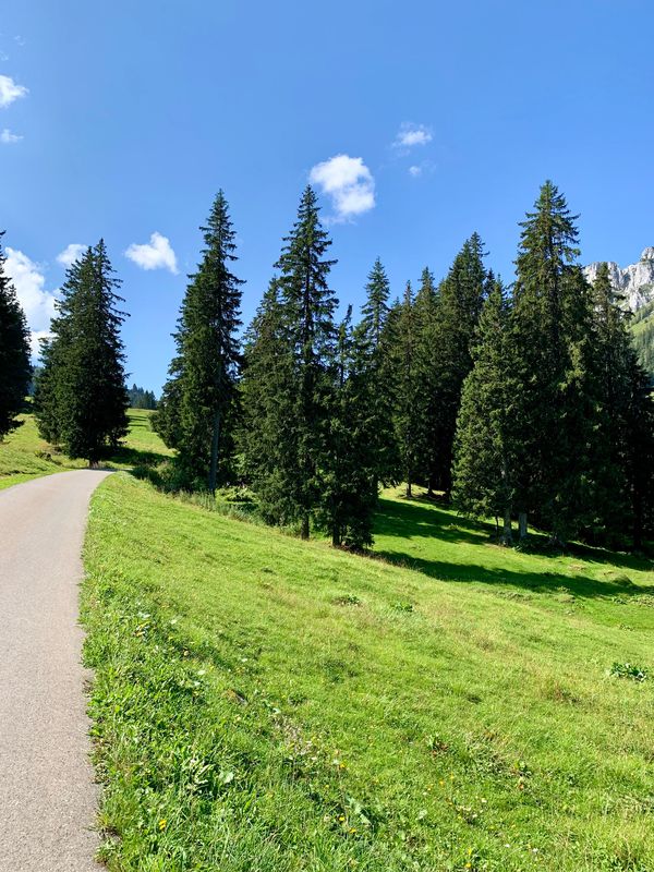Gestelenpass-Aeschi-80km-1600Hm