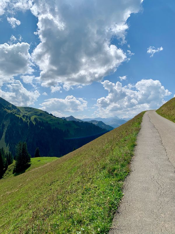 Gestelenpass-Aeschi-80km-1600Hm